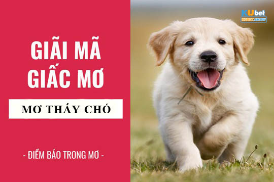 Nằm mơ thấy chó